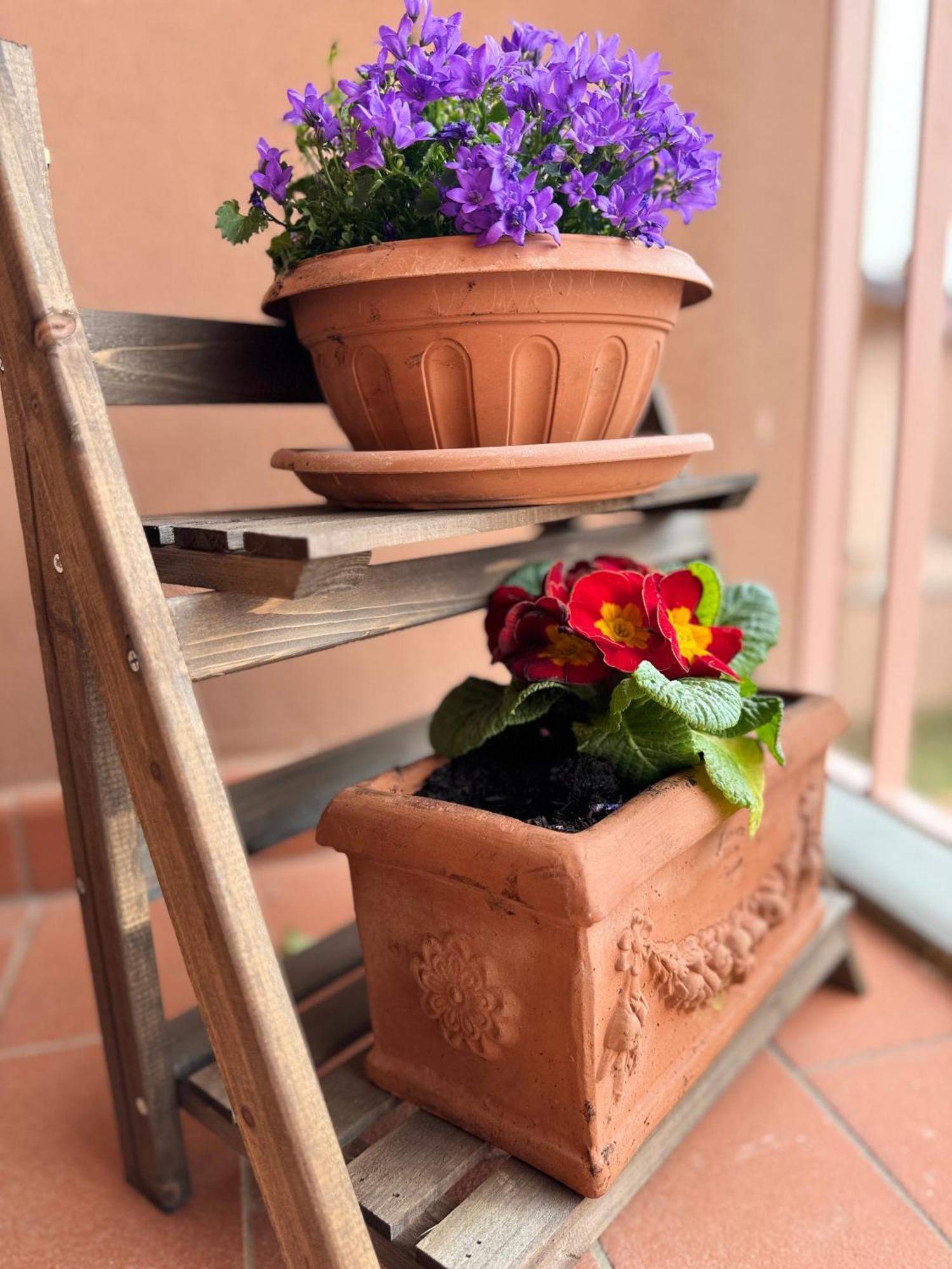 Chianti House Garden - 30 Min Firenze Centro Apartment Pelago Exterior photo